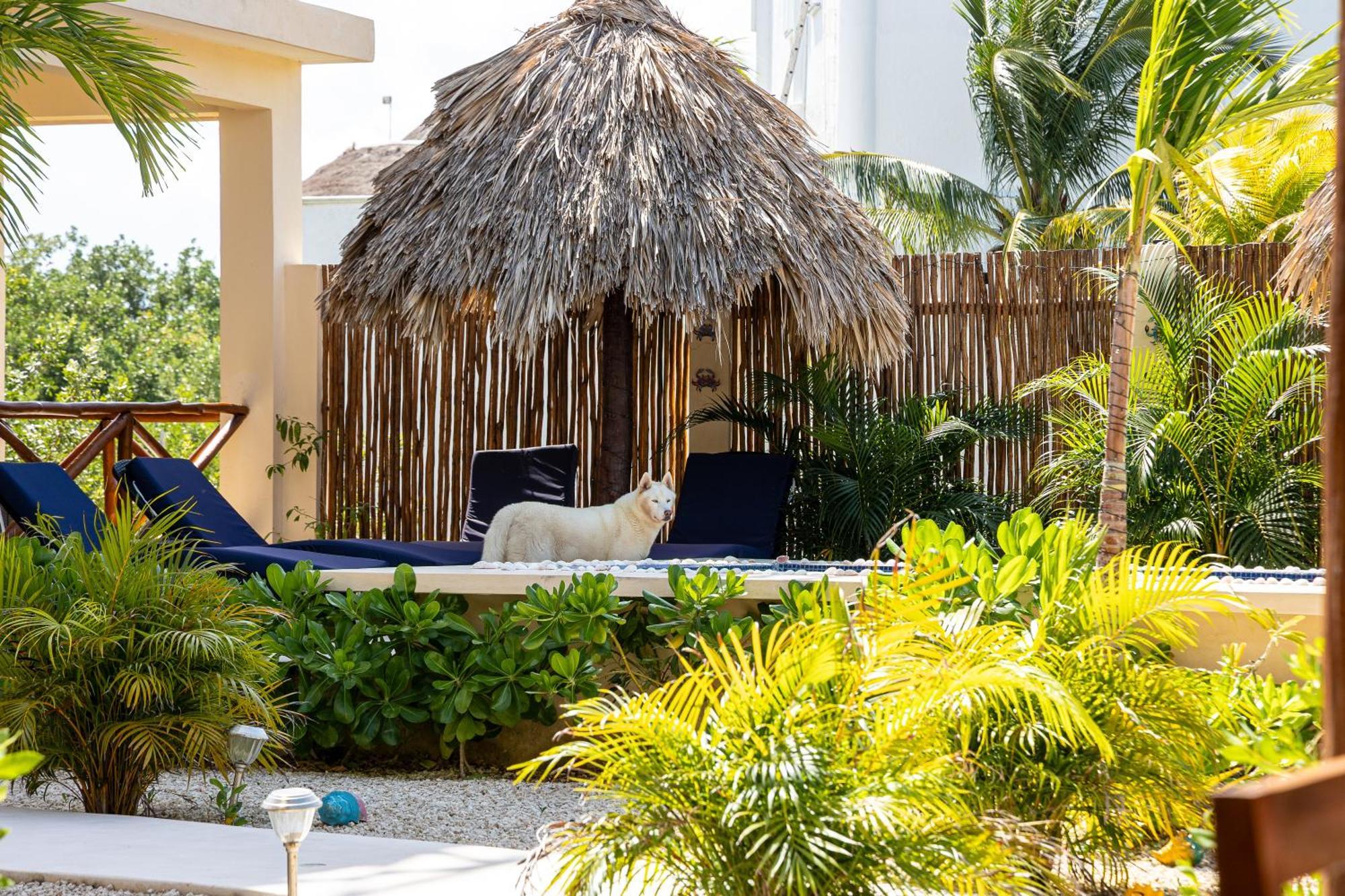 Atenea Holbox Exteriör bild